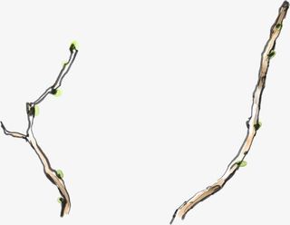 手绘唯美春季树枝免抠