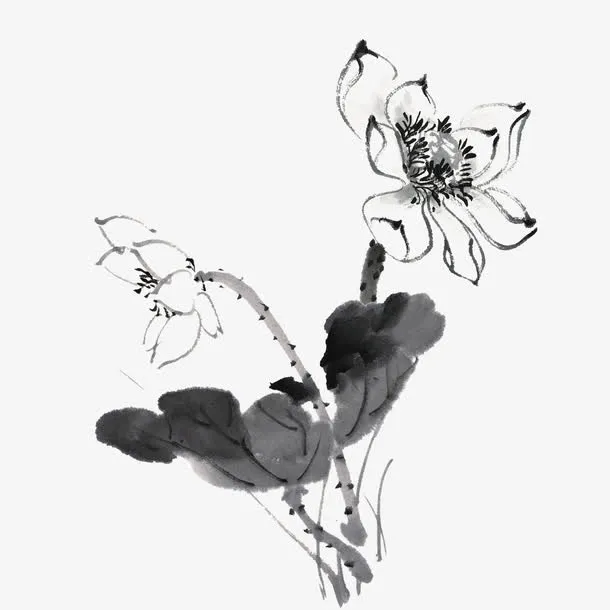 水墨荷花免抠