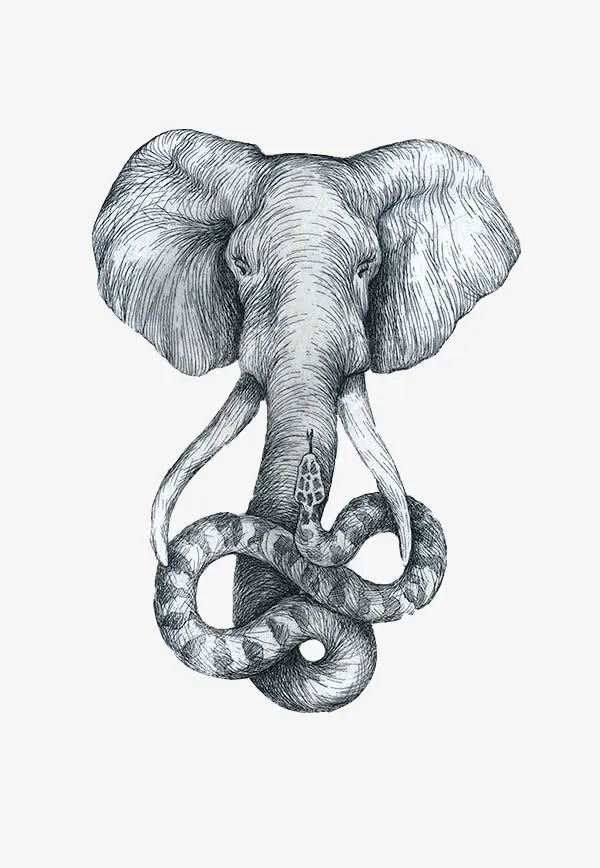 象头蛇鼻免抠