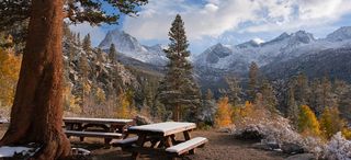 森林高山海报素材高清