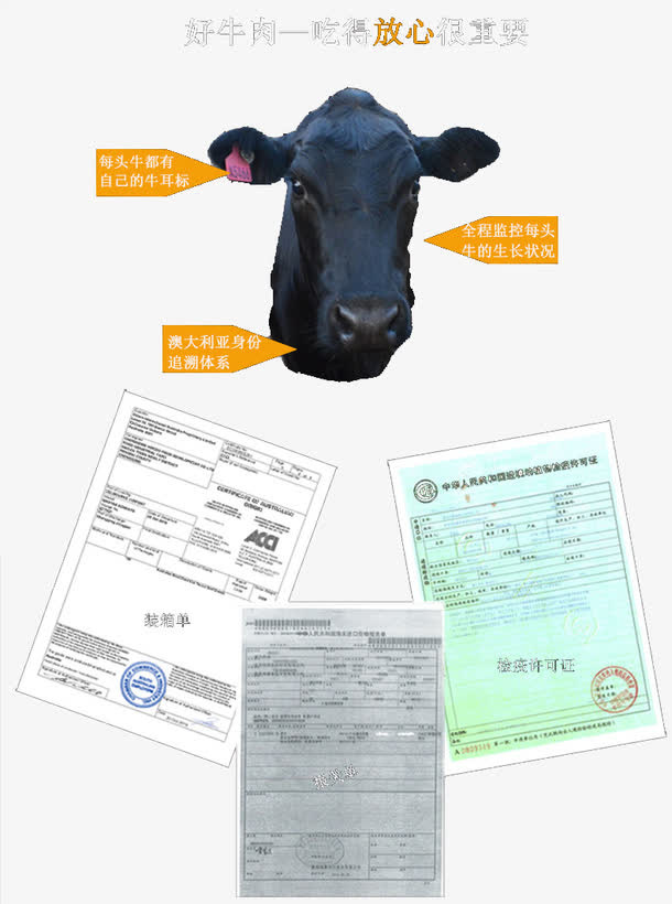 牛头检验报告免抠