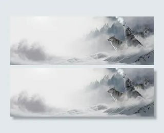 白色狼群背景图案图片高清