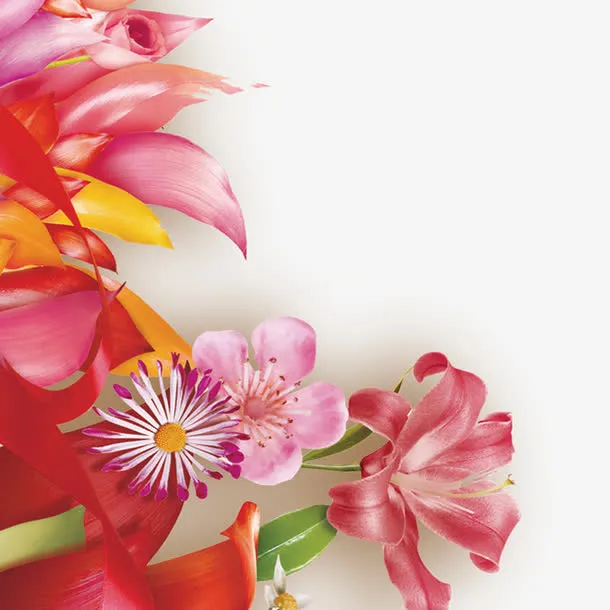 元宵节素材免抠