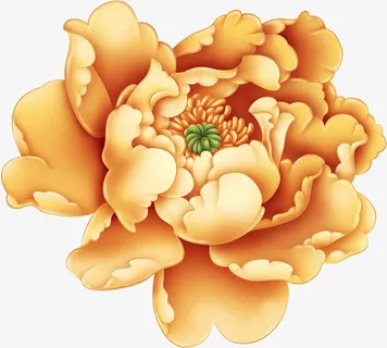 金色盛开牡丹中秋免抠