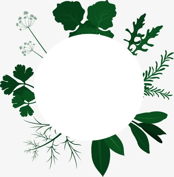 绿色的草药边框免抠