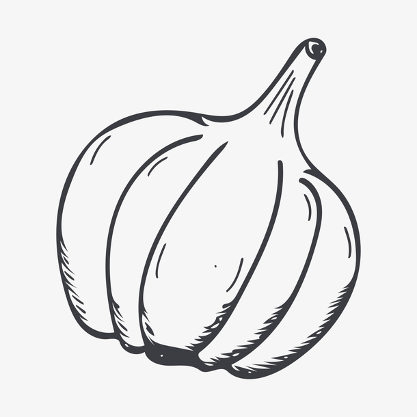 线描大蒜免抠