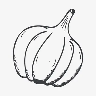 线描大蒜免抠 线描大蒜免抠