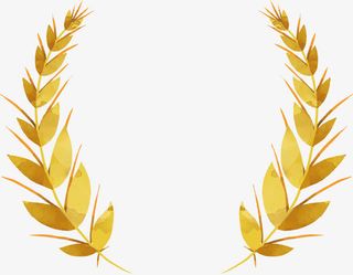 黄色小麦标题框免抠