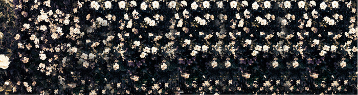 复古花背景高清