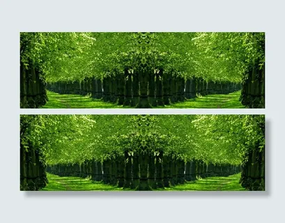 唯美树木丛林淘宝海报背景