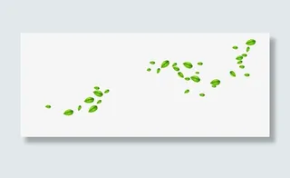 春分节气素材免抠