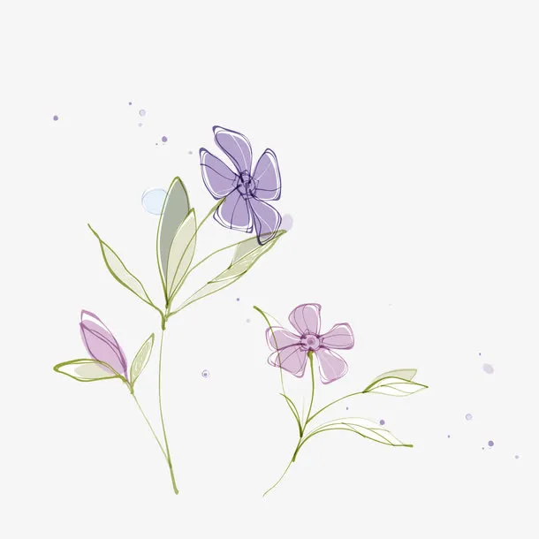 浅紫色花朵免抠