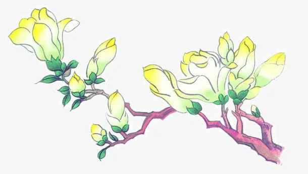 国画花草免抠