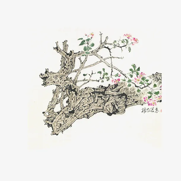 枯树逢春免抠