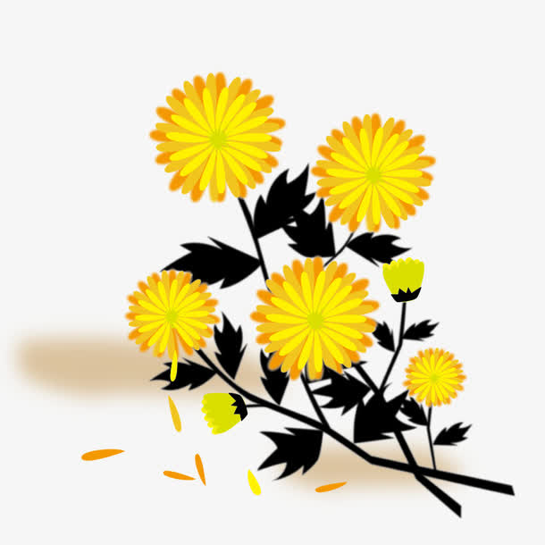 矢量秋菊免抠