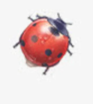 淘宝电商春季新款图免抠