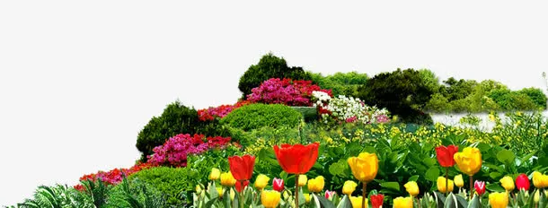 春天野外小草小花免抠