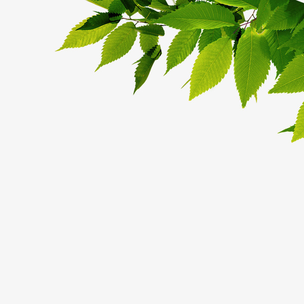 春天免抠