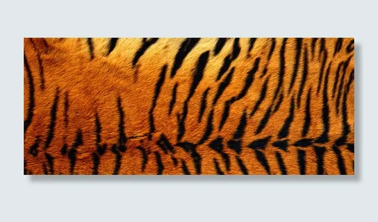 皮毛背景高清 皮毛背景高清