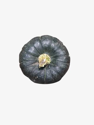 南瓜贝贝 小南瓜免抠