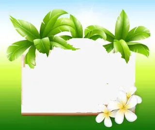 清新绿叶边框免抠