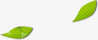 清新手绘文艺植物树叶落叶免抠