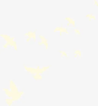 高清摄影活动海报黄色光效和平鸽免抠