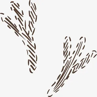 手绘画装饰免抠