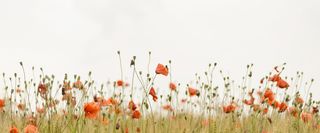 小清新服装花卉banner背景高清