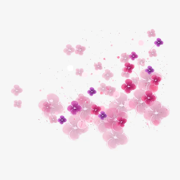 漂浮的梅花花瓣免抠