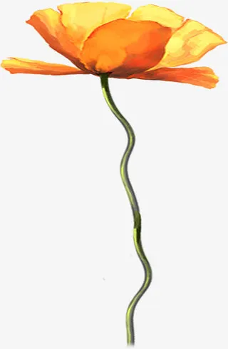 春天黄色水彩手绘花朵免抠