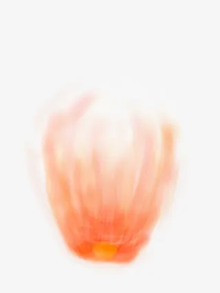 唯美孔明灯白底免抠