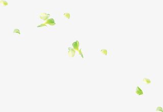 春天漂浮绿叶装饰免抠