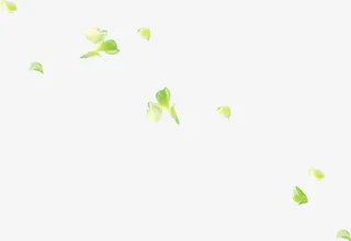 春天漂浮绿叶装饰免抠