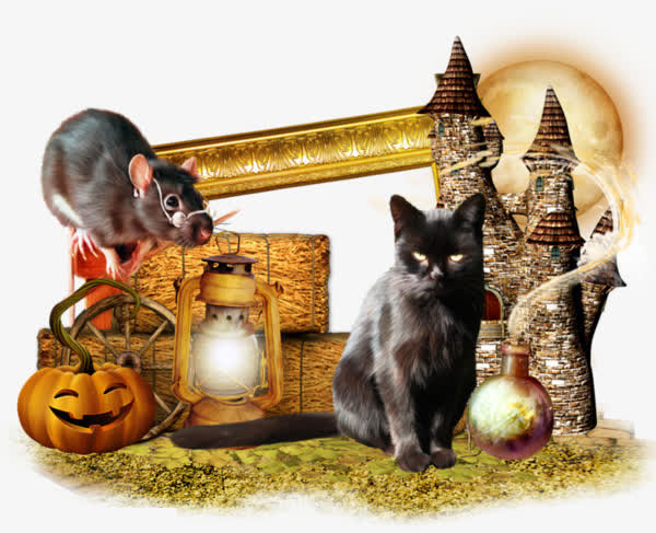 猫和老鼠免扣素材免抠