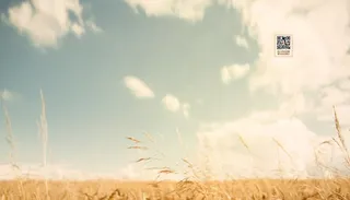 蓝天白云草地海报免抠