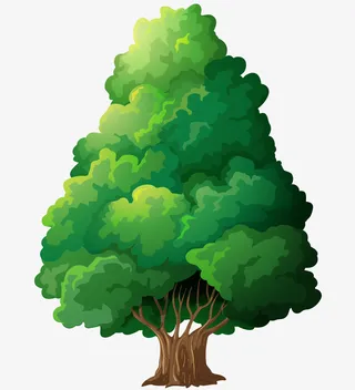 一棵果树矢量插画免抠