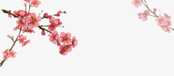 水墨梅花免抠