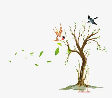 312植树节树木萌芽主题设计免抠