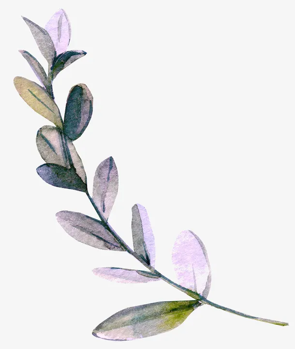 紫色小花叶PNG免抠