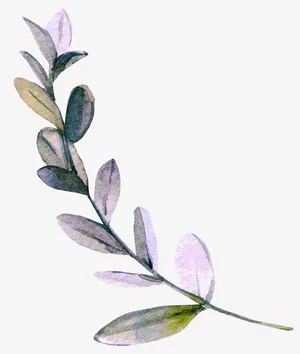 紫色小花叶PNG免抠