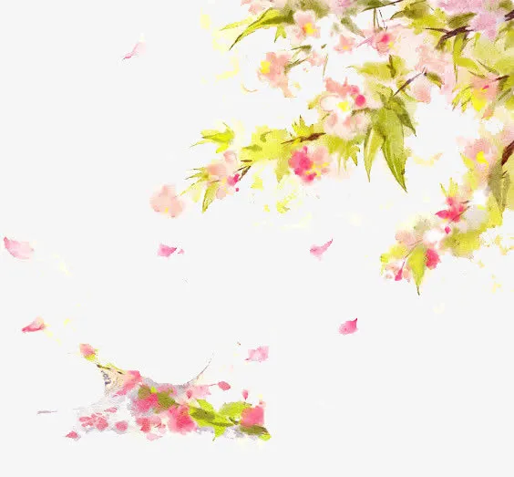 白色花朵 翠绿色叶子 png素材免抠