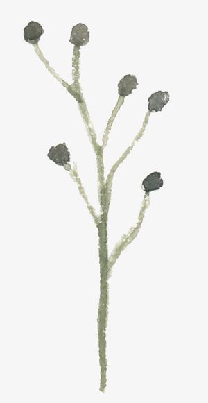 水墨枯树枝免抠