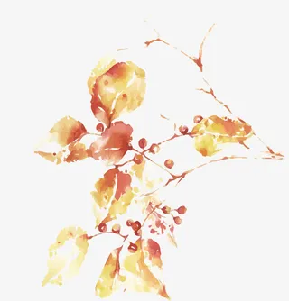 矢量枯叶树枝免抠