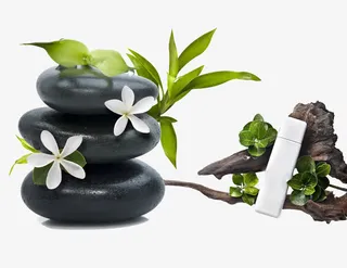 石头和树干免抠