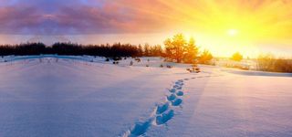 冬日阳光Banner高清