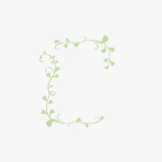 花卉边框免抠