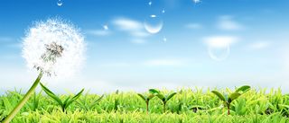 春天海报背景高清