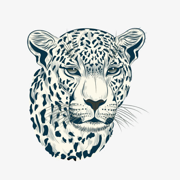 王中王老虎免抠