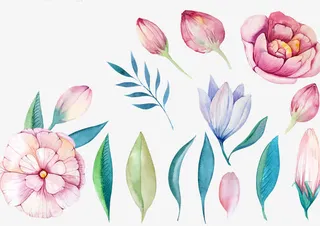 手绘花朵叶子免抠